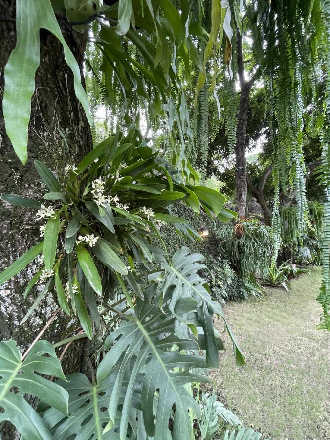 Iguanazu Bed & Breakfast Guayaquil Luaran gambar